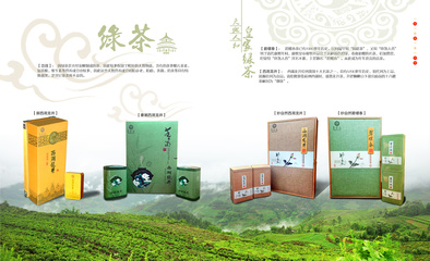 茶 茶叶 产品小册 画册